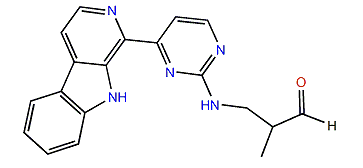 Ingenine D